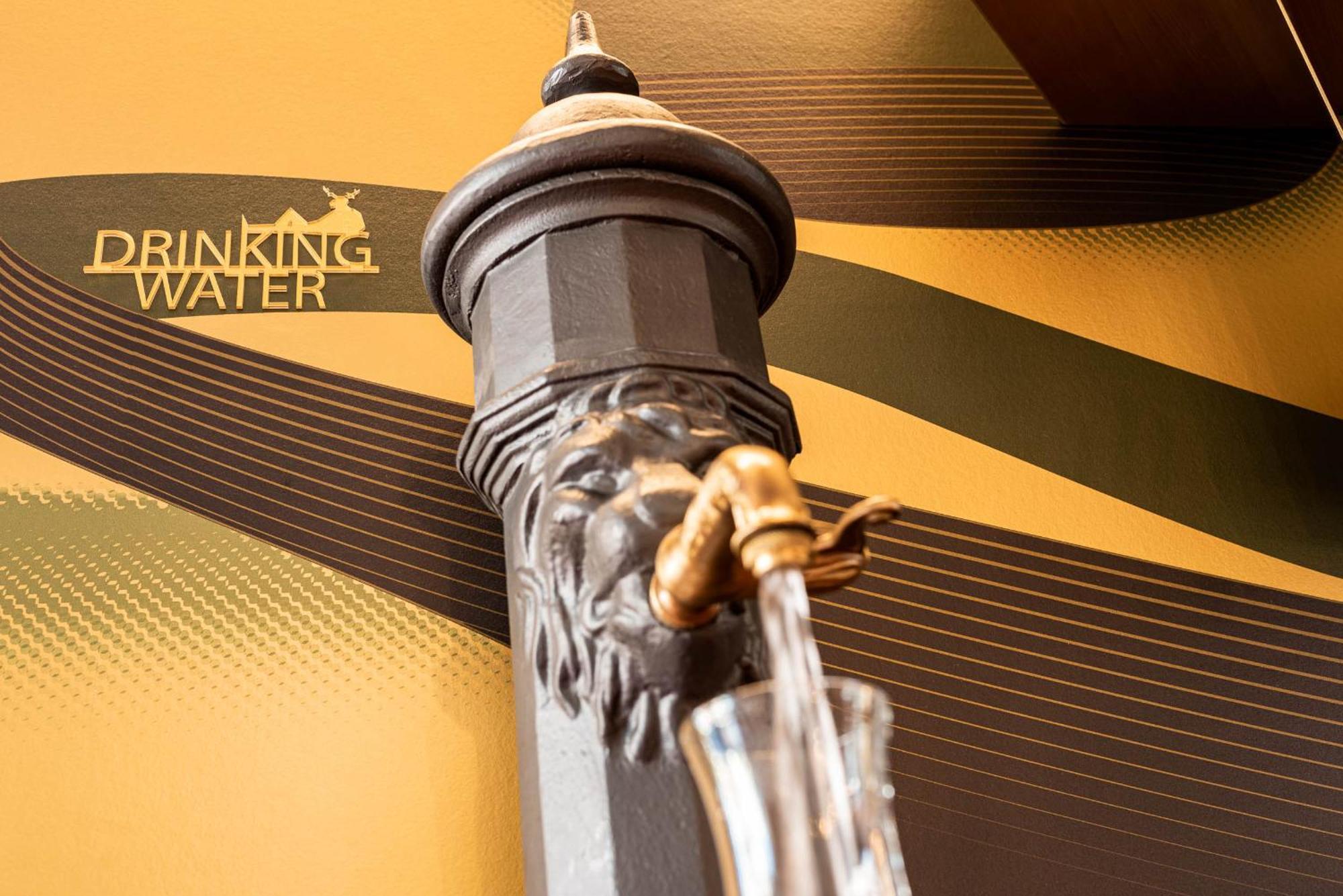 Hirschen Oberkirch - Design Boutique Hotel Exteriér fotografie